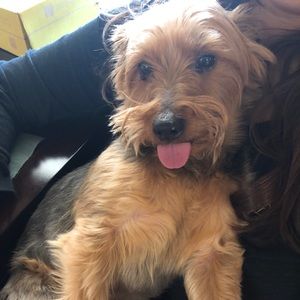 Meet your Posher, Sami